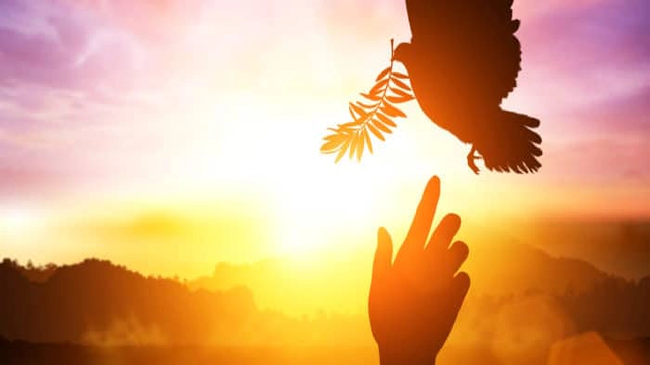 صورة مقدمه وخاتمه عن السلام