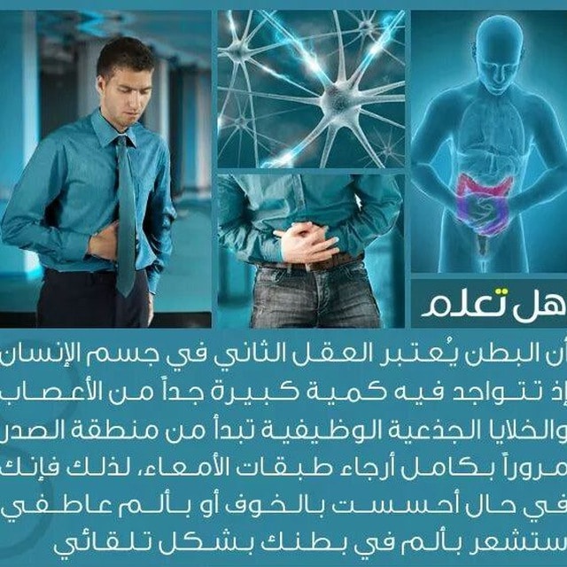 مقولات ثقافية