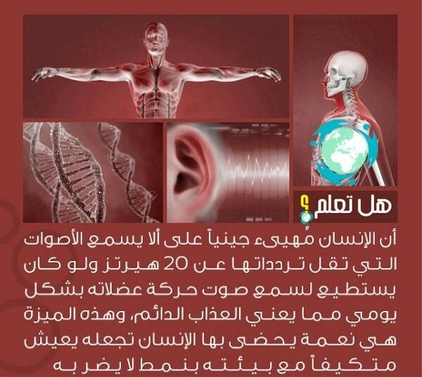 مقولات ثقافية