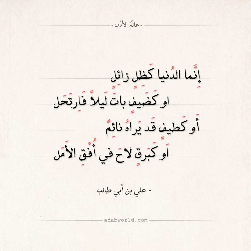 مقولات سيدنا علي