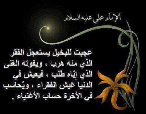 مقولات سيدنا علي