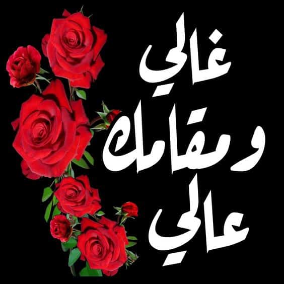 ملصقات شكر للواتس