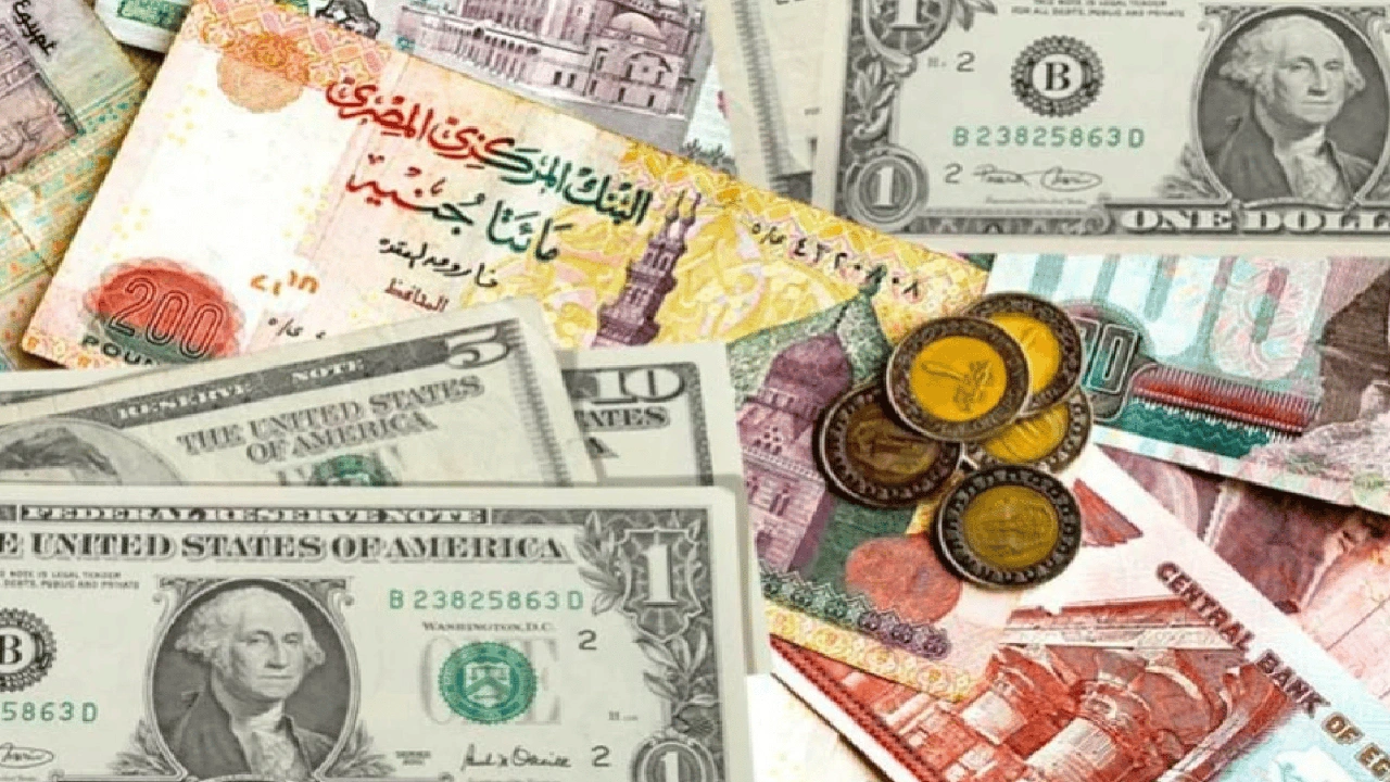 صورة مميزات وعيوب تعويم العملة