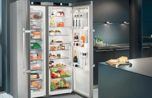 مميزات وعيوب ثلاجات سيلتال