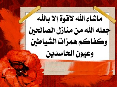 منزل مبارك عامر