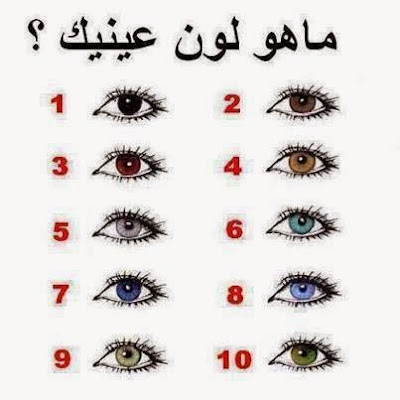 منشورات تجذب الأصدقاء
