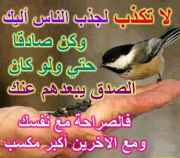 منشورات تجذب التعليقات