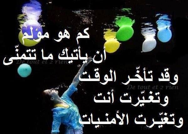 منشورات تجذب التعليقات
