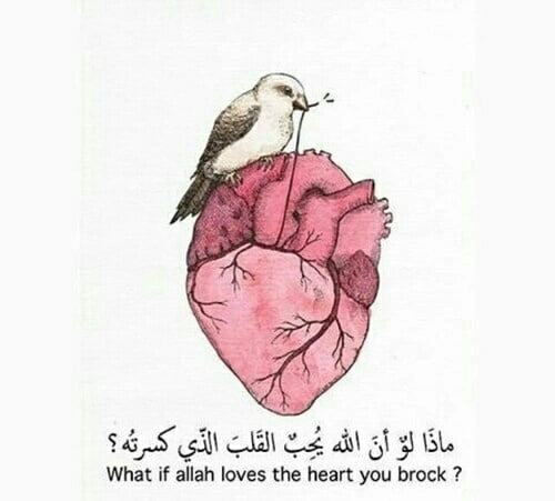 منشورات تجذب التعليقات