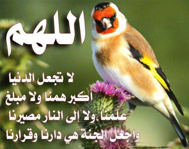 منشورات دينية مؤثرة
