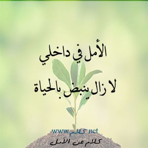 منشورات راقية عن الحياة