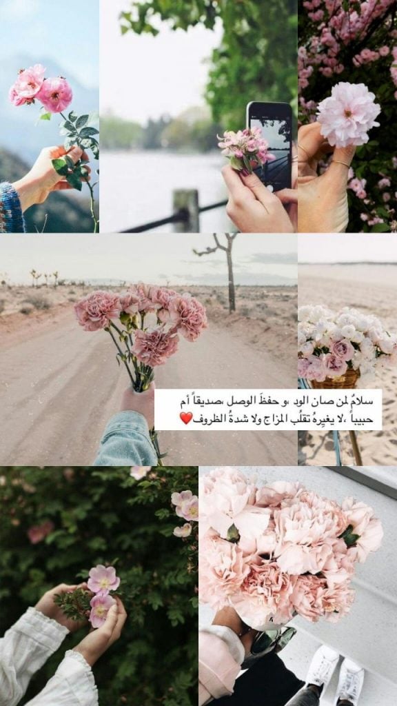 منشورات راقية ومميزة