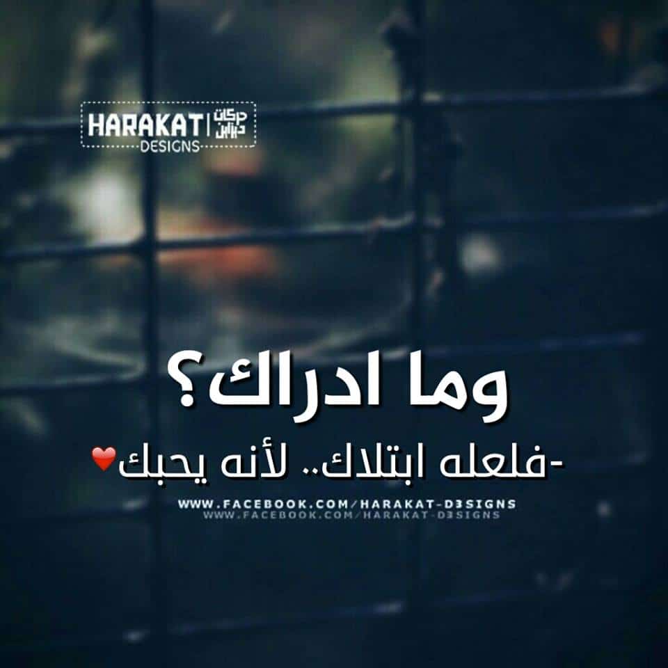 منشورات راقية