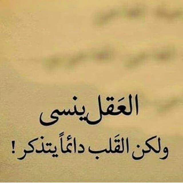 منشورات فيس بوك