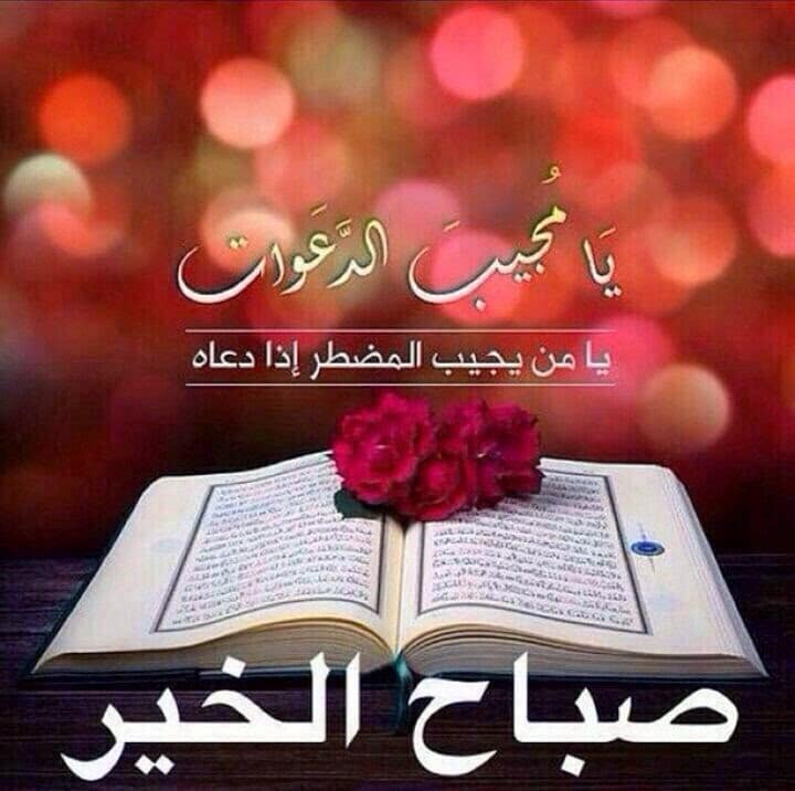 منشورات فيس بوك