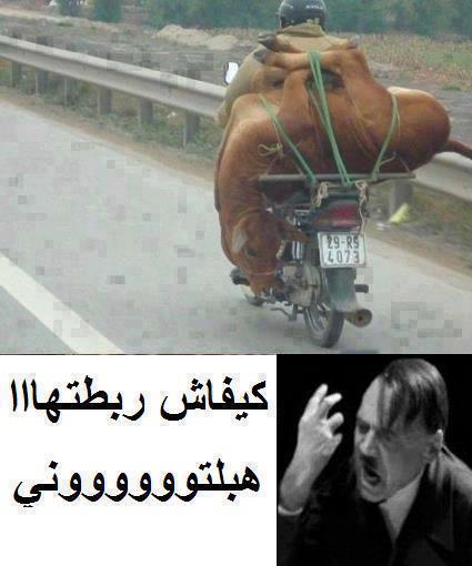 منشورات مضحكة