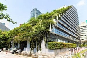 مواصفات المباني الخضراء في الامارات
