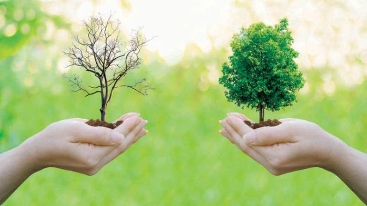 صورة موضوع تعبير بالانجليزي عن البيئة