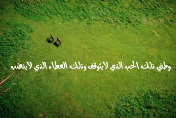 موضوع تعبير عن حب الوطن