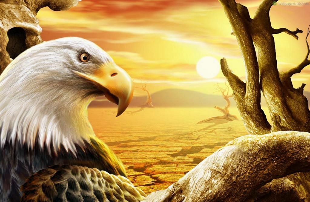 موضوع تعبير عن قصة خيالية