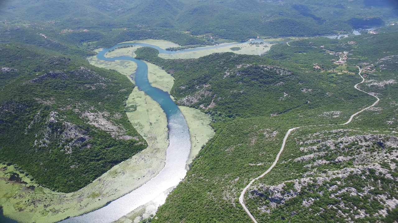 صورة موضوع تعبير عن نهر الامازون بالانجليزي