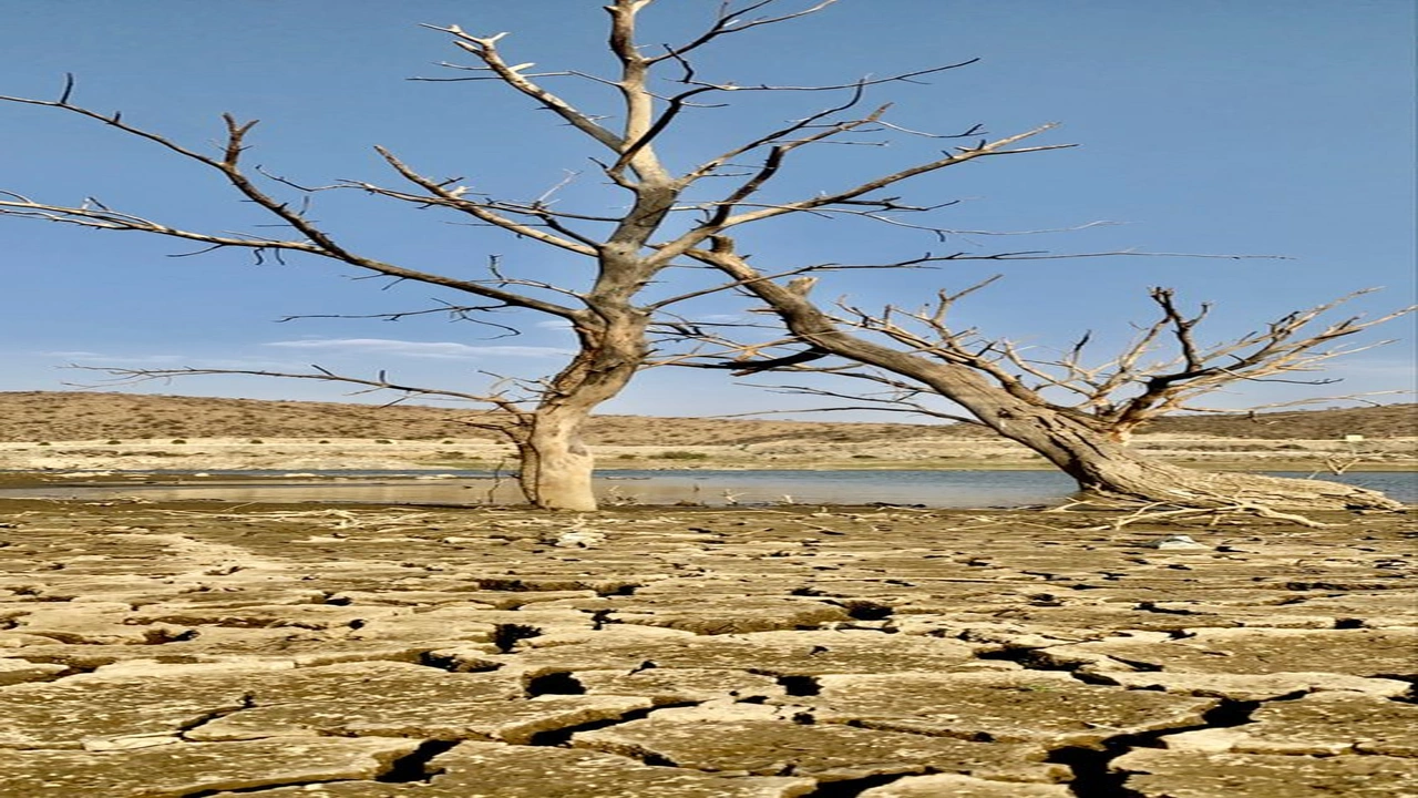 صورة موضوع حول الجفاف