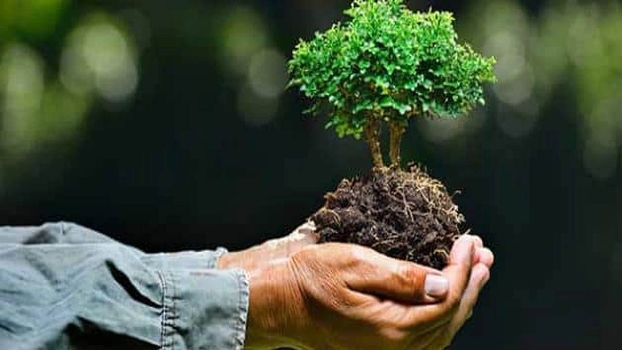 صورة موضوع عن البيئة بالفرنسية