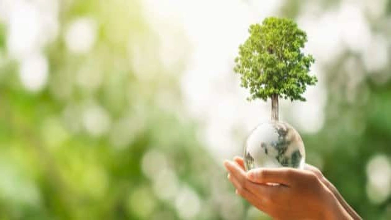 صورة موضوع عن البيئة