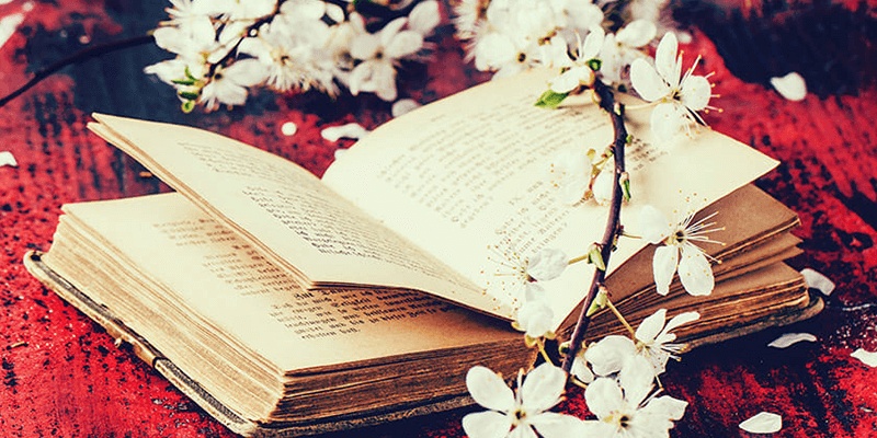 موضوع عن القناعة
