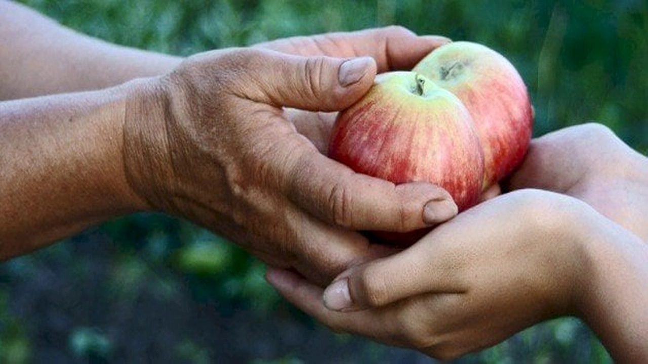 صورة موضوع عن الكرم