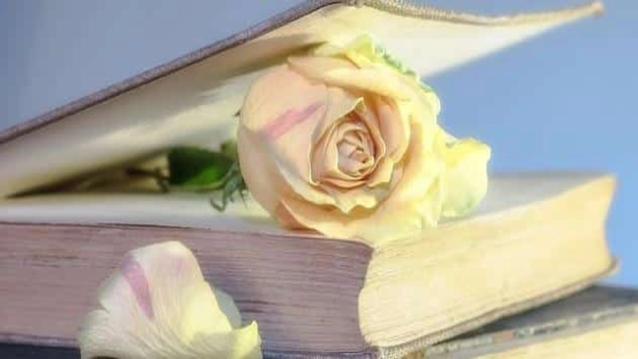 صورة موضوع عن اللطف