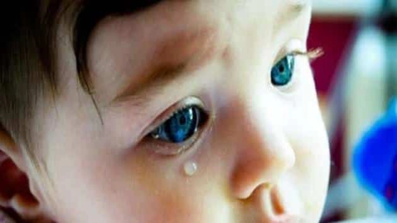 صورة موضوع عن اليتيم