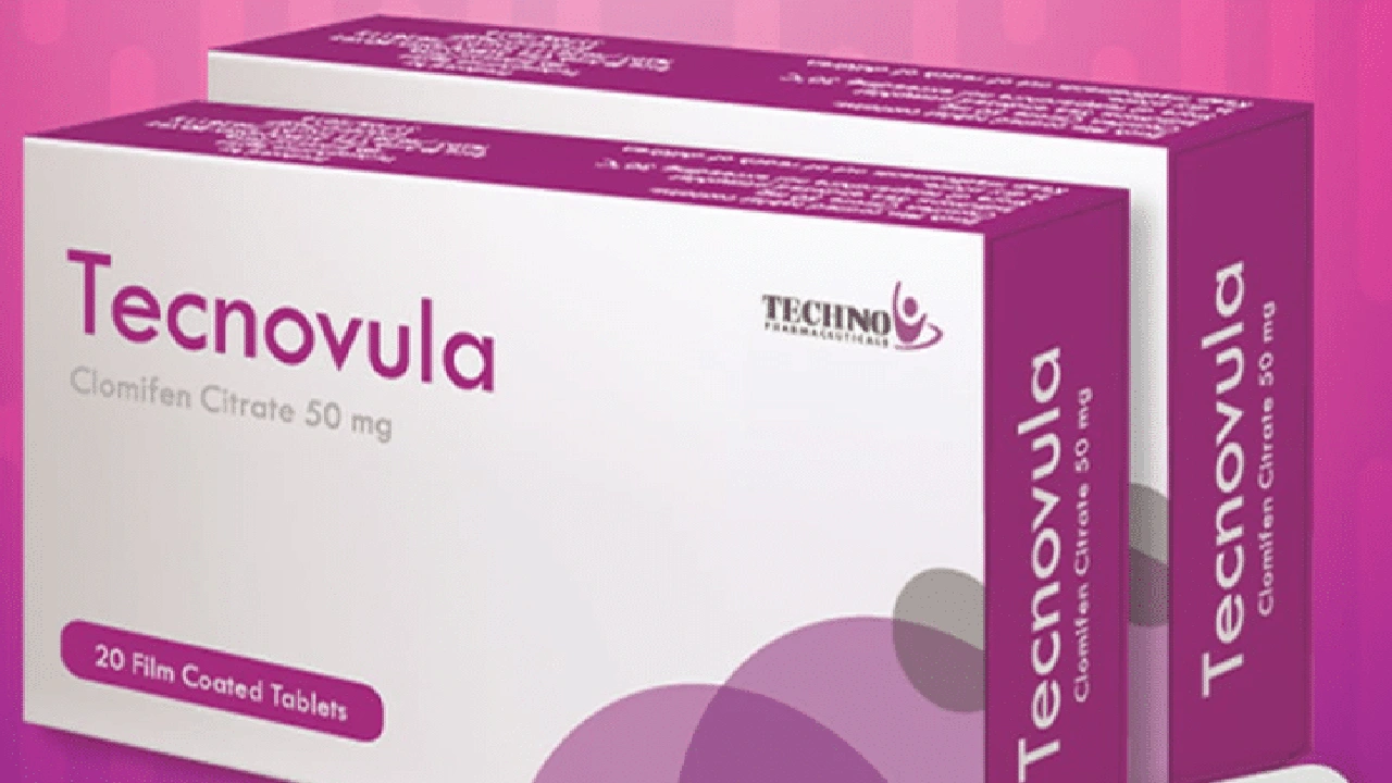 صورة مين استخدمت تكنوفيولا وحملت