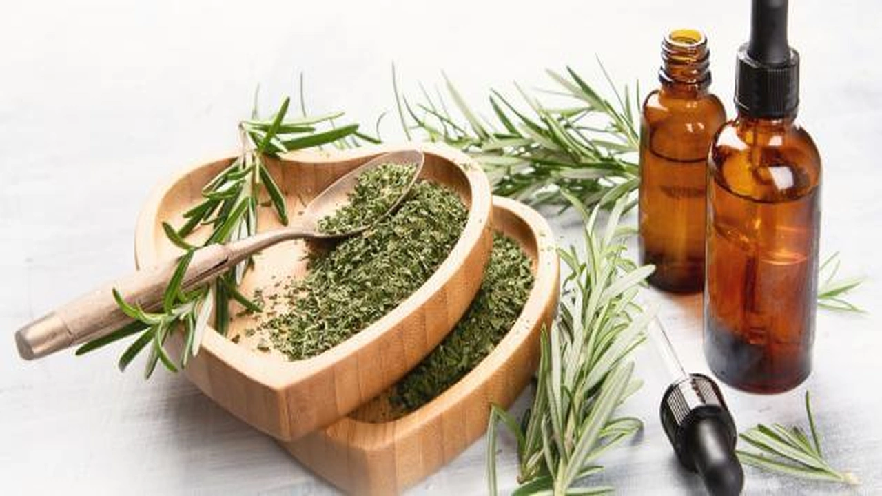 صورة مين استخدمت رجل الاسد وحملت