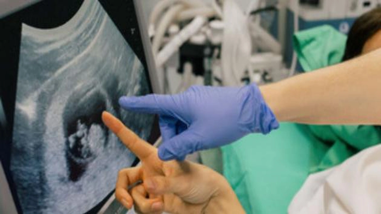 صورة مين جربت نظرية رامزي