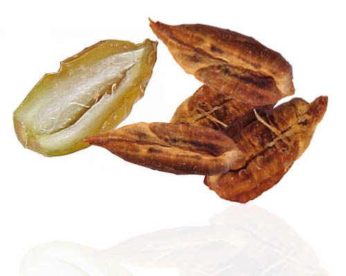 مين جربت نواة التمر لتضييق