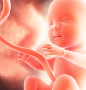 مين صار معها انفصال في المشيمة