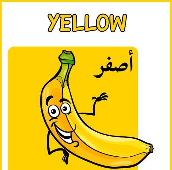 نشاط تعليم الألوان للاطفال