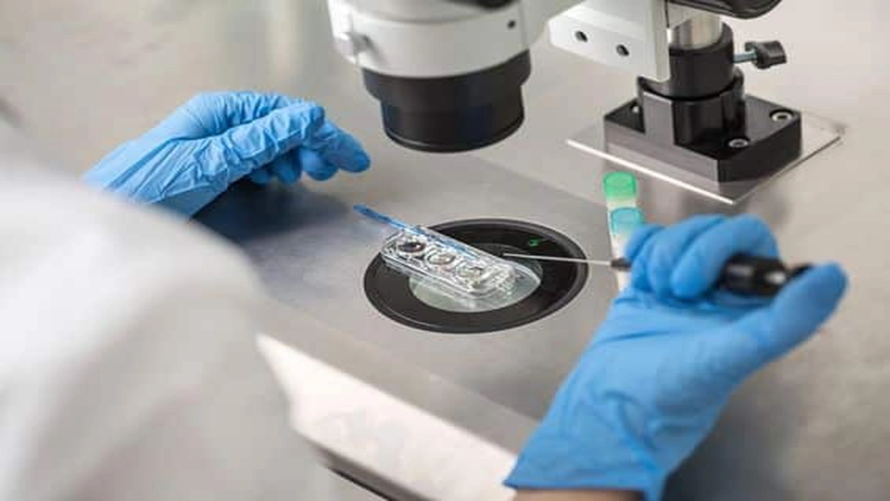 صورة نصائح لنجاح عملية أطفال الأنابيب