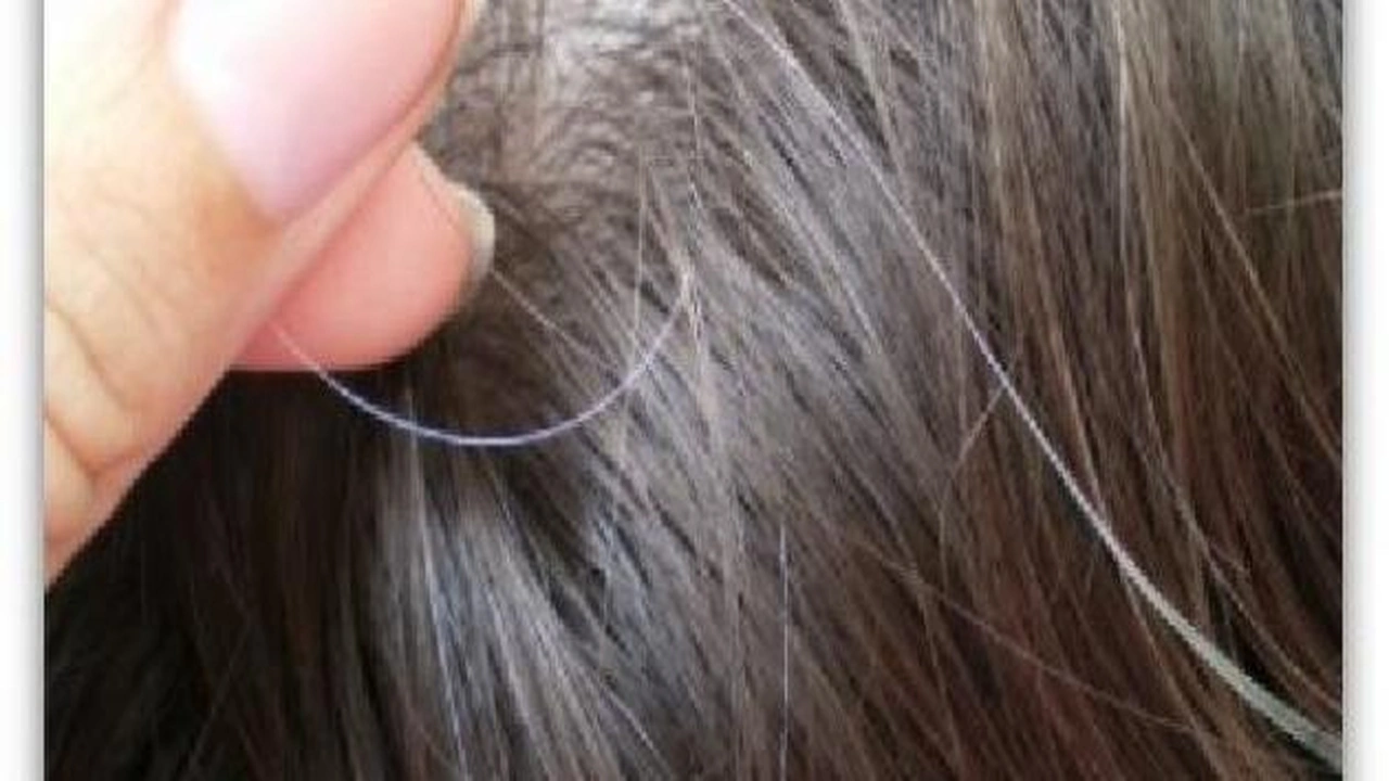 صورة نصائح لوقف الشيب المبكر ومنعه بشكل طبيعي