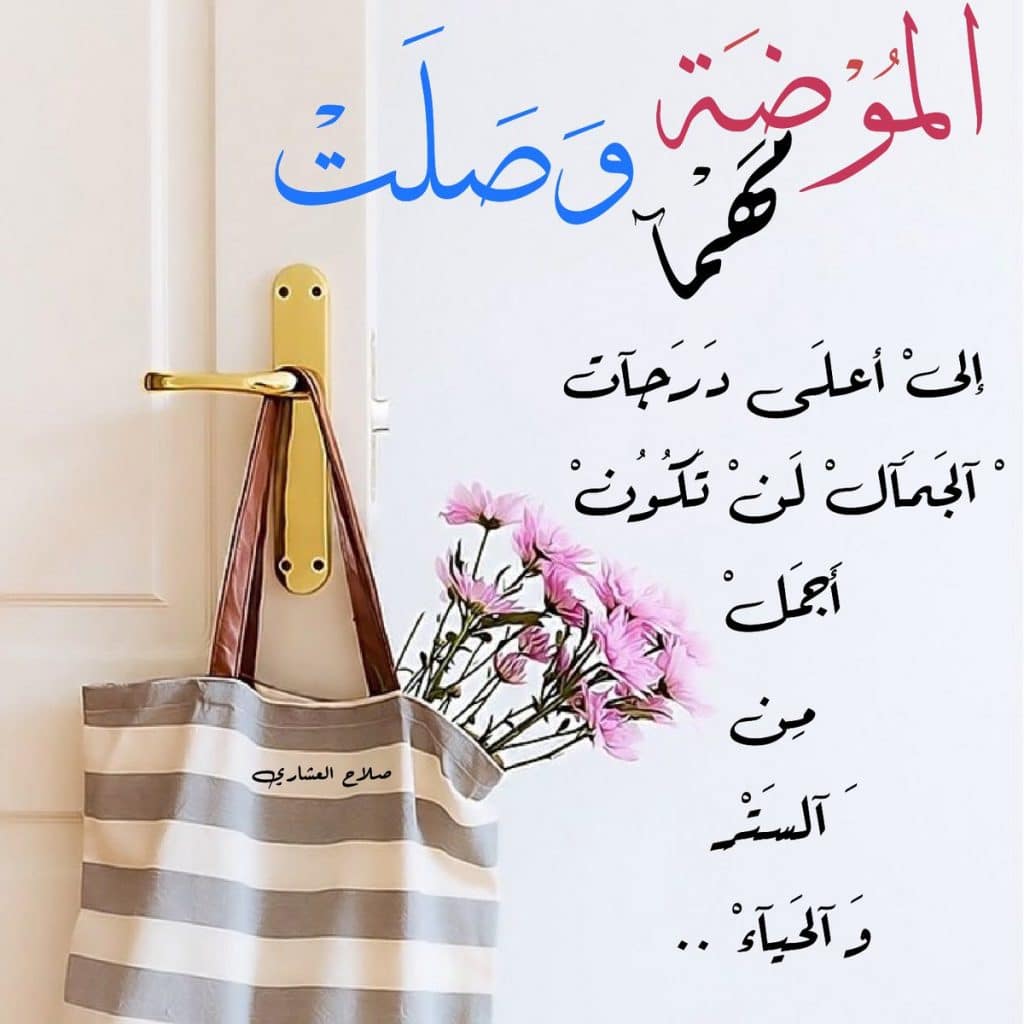 نصيحة للحياة
