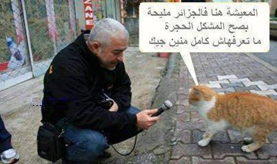 نكت جزائرية مضحكة جدا بالصور