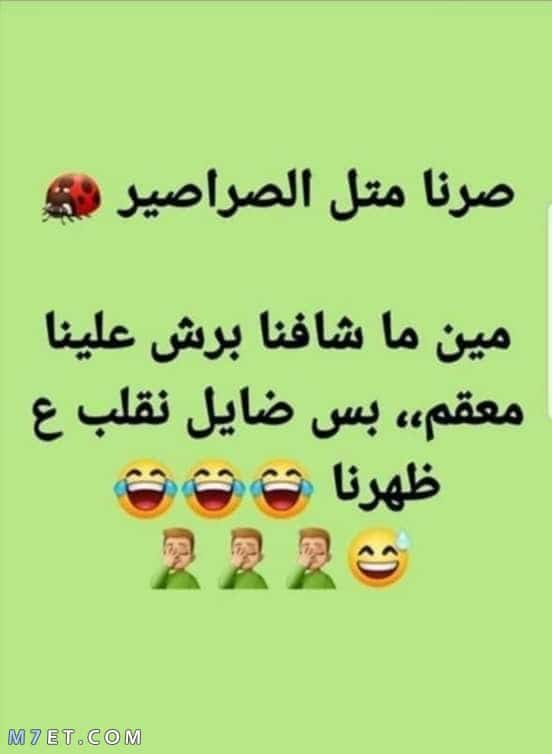 نكت سامجة ٢٠٢٠