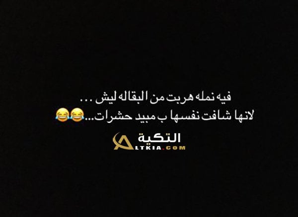 نكت صراصير محششة