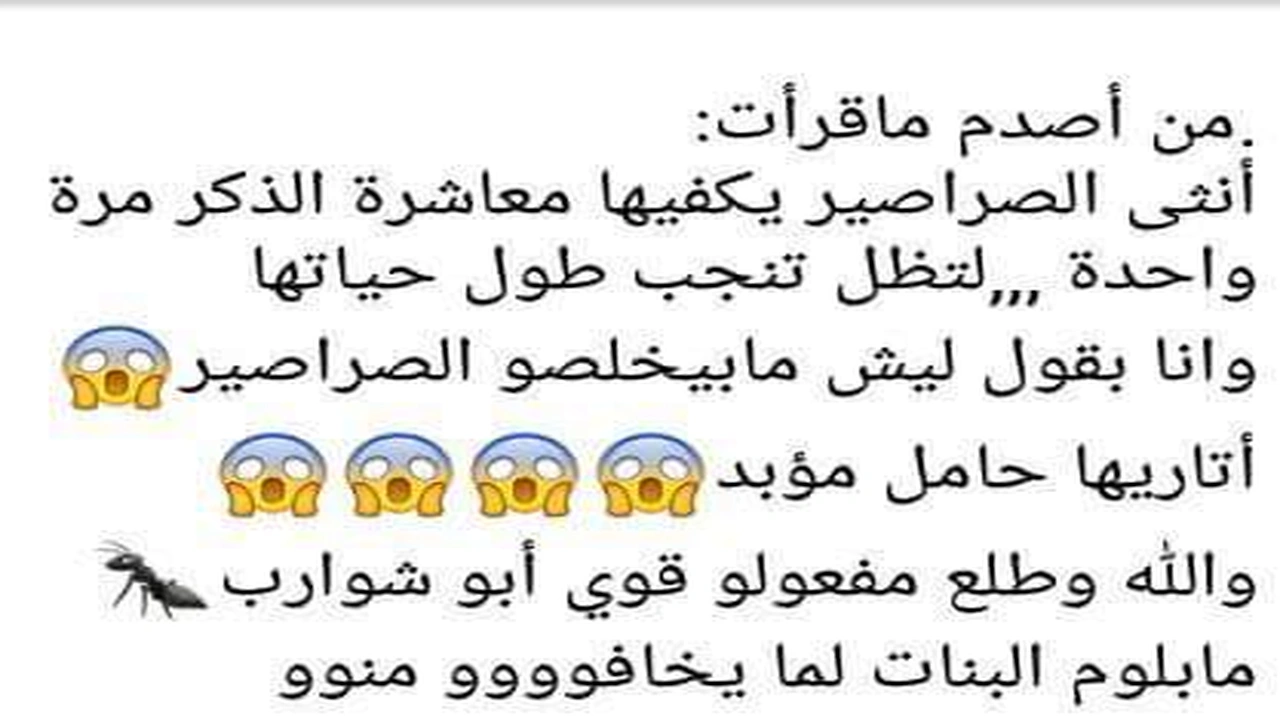صورة نكت صراصير محششة