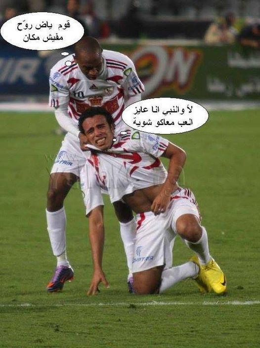 نكت على الزمالك