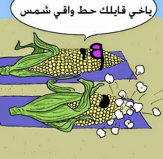 نكت عن الشوب