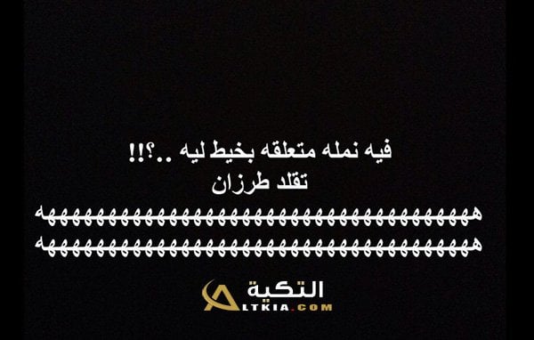 نكت ليش