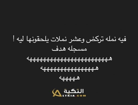 نكت ليش