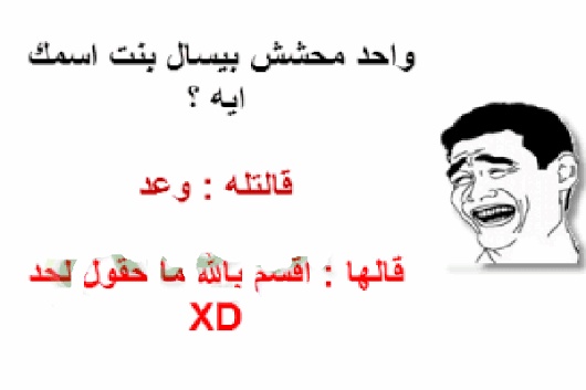 نكت محششين تموت من الضحك